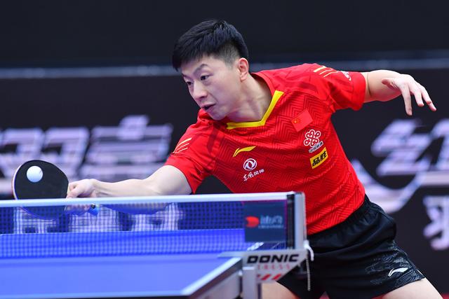 活动系统节 活动系统节