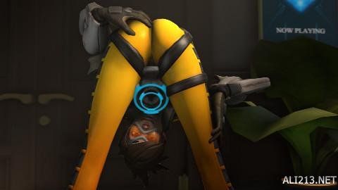 不确定中寻 不确定中寻